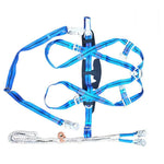 Five Point 2m Aerial Work Outdoor Construction Air Conditioning Installation Whole Body Safety Rope