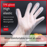 6 Bags Disposable TPE Gloves Large Thickened Long Frosted Antiskid Food Grade Baking Kitchen Gloves 100 Pieces